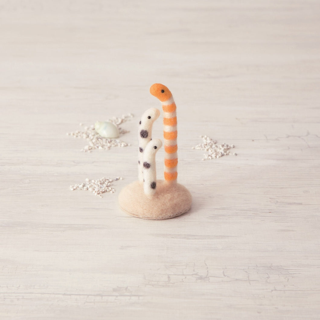 Needle Felting Kit - Garden Eels