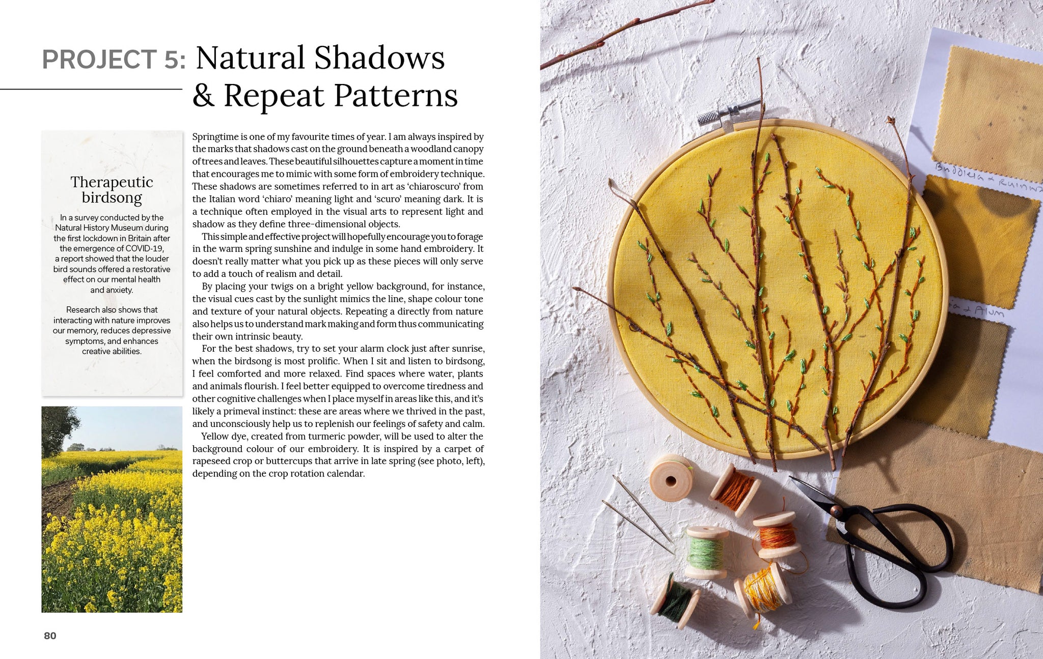 A collection of pressed leaves and flowers arranged in a circular pattern, showcasing the natural beauty of botanical materials.