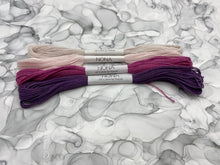 Load image into Gallery viewer, Nona Naturally Dyed Skeins - &quot;Noble&quot; Colorway
