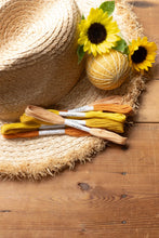 Load image into Gallery viewer, Nona Naturally Dyed Skeins - Sunny Colors
