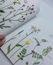 Load image into Gallery viewer, Embroidered Wild Flowers by Kazuko Aoki
